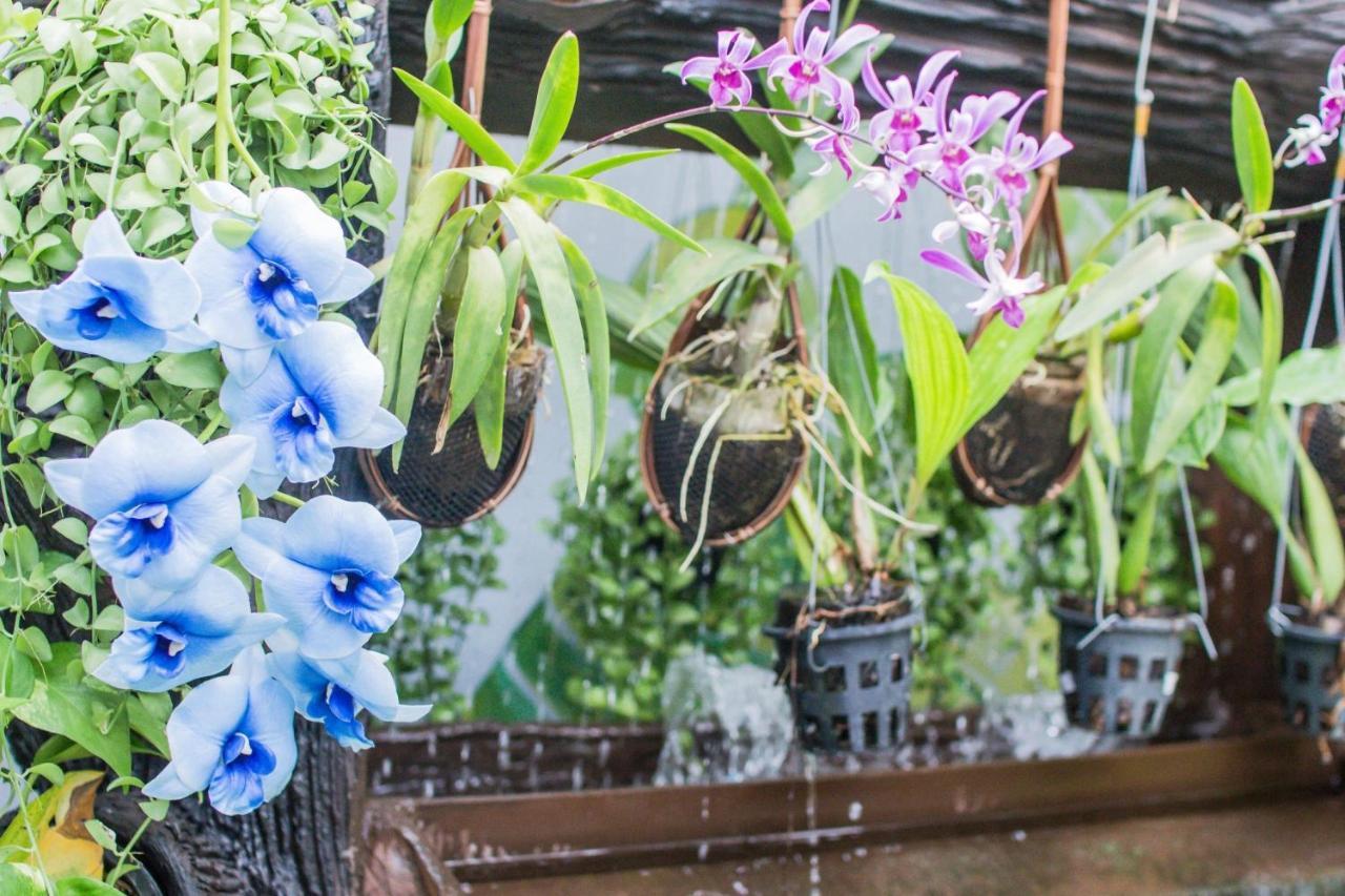 Villa Siam & Spa Бангкок Экстерьер фото